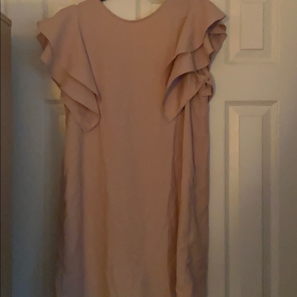 Zara Ruffle Pale Pink Dress M NWT